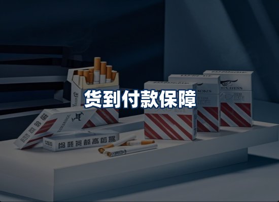 专业团队办公环境